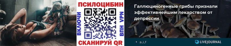 Псилоцибиновые грибы мухоморы  наркота  Татарск 