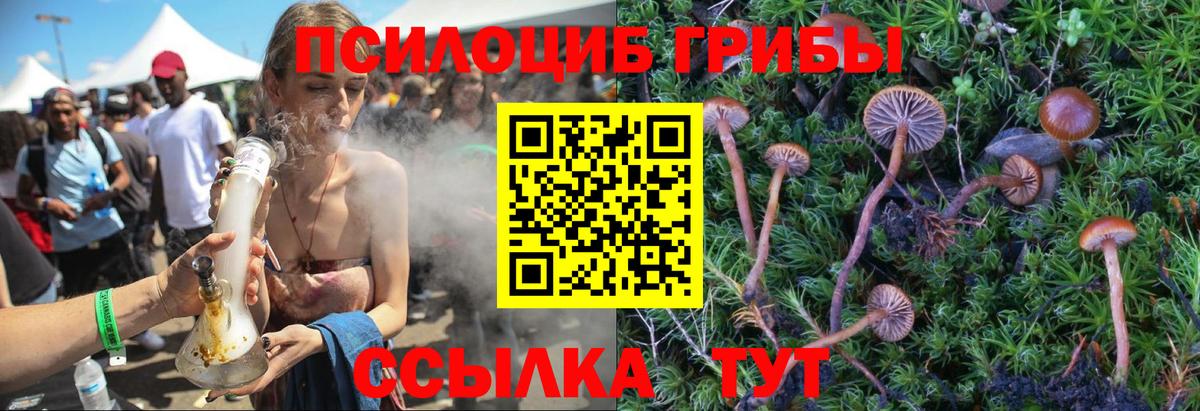 Псилоцибиновые грибы ЛСД  Вход с VPN  Татарск  Галлюциногенные грибы Psilocybe 