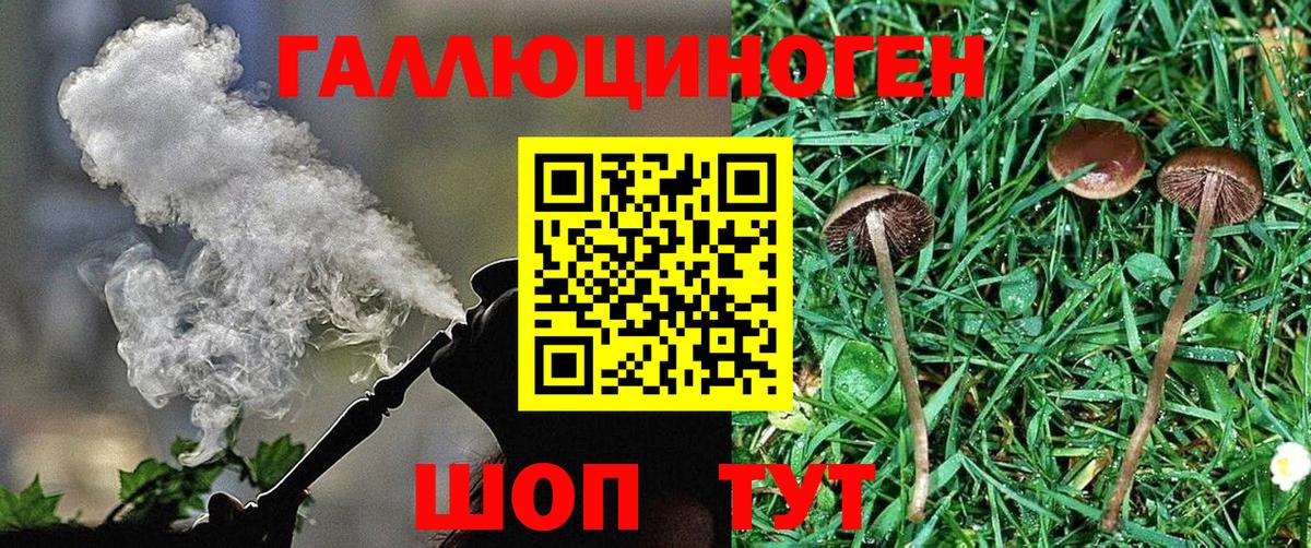 Псилоцибиновые грибы MAGIC MUSHROOMS Татарск